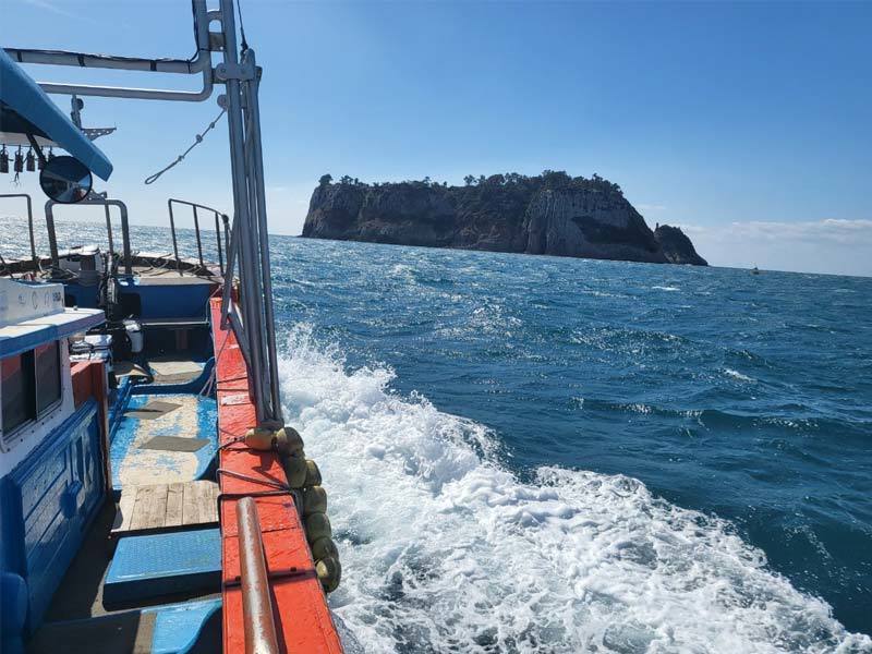 조항정보