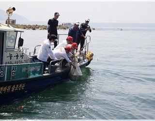2014년 제6회 (주)조무사 바다사랑 치어방류 행사~
