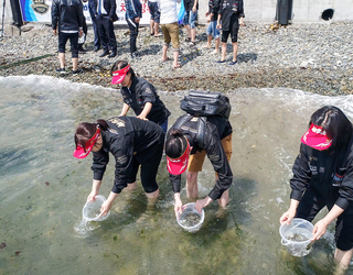 2018년 제13회 바다살리기 치어방류행사