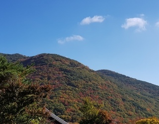 2017년 회사 가을산행