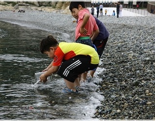 2015년 제8회 (주)조무사 바다살리기 치어방류 행사
