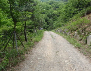 2012년 회사 산행(대운산)