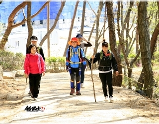 2013년 조무사 봄산행