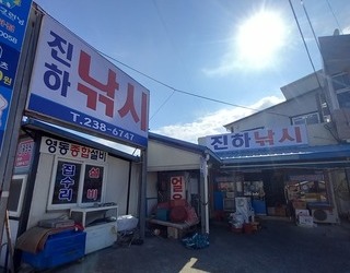 진하낚시