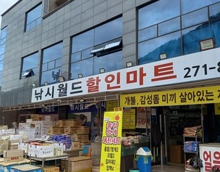 낚시월드